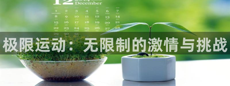 欧亿体育官方正版app娱乐是那个系列的台子：极限运动：无限制