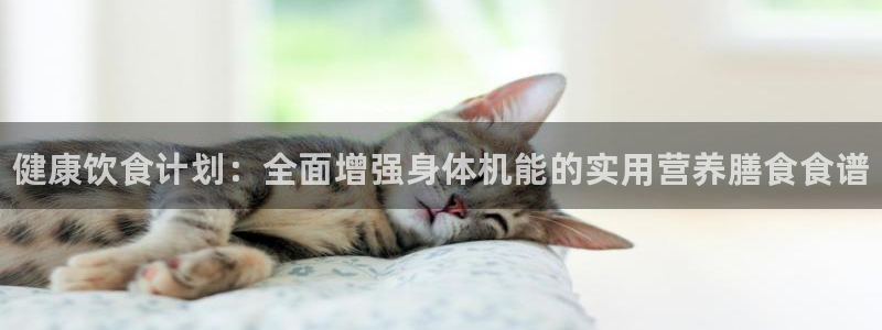 欧亿体育官方正版app集团logo：健康饮食计划：全