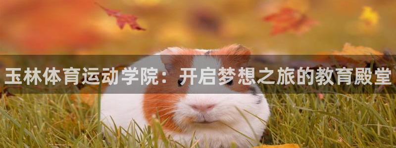 oety欧亿体育官网下载招商电话号码是多少：玉林体育