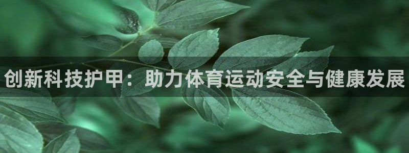 oety欧亿体育官网下载招商电话号码是多少啊：创新科技护甲：