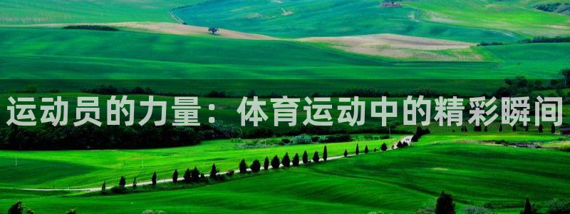 欧亿体育官方正版app科技：运动员的力量：体育运动中的精彩瞬