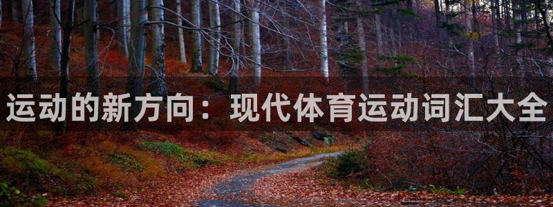 oety欧亿体育官网下载是干嘛的公司：运动的新方向：现代体育