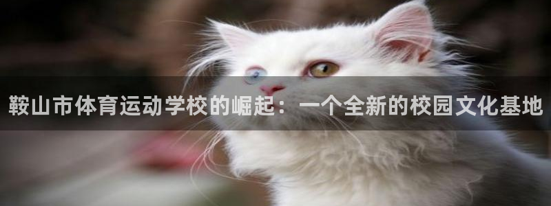 欧亿体育官方正版app集团简介：鞍山市体育运动学校的崛起：一