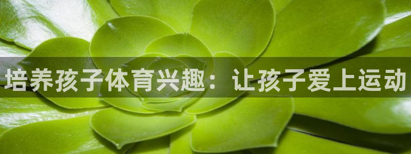 欧亿体育官方正版app娱乐：培养孩子体育兴趣：让孩子爱上运动