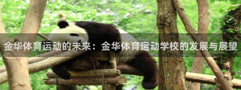 欧亿体育官方平台体育：金华体育运动的未来：金华体育运