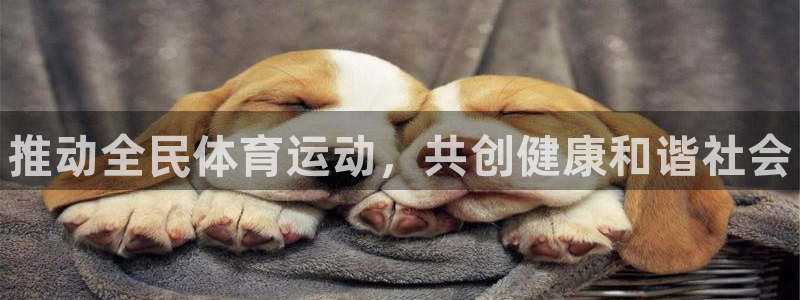 欧亿体育官方正版app娱乐40996：推动全民体育运