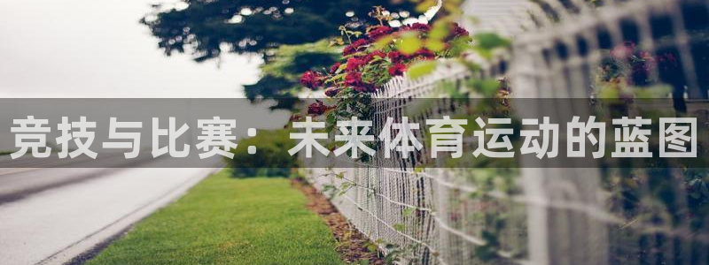 oety欧亿体育官网下载平台假的吗是真的吗：竞技与比