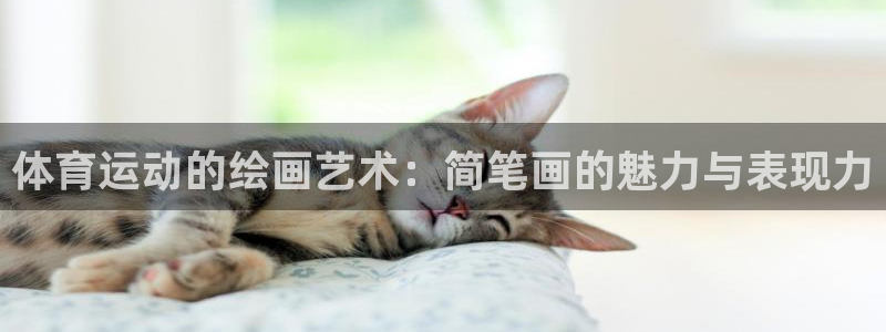 oety欧亿体育官网下载招商电话地址是多少：体育运动