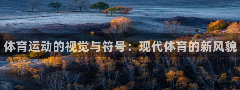 欧亿体育官方正版app开户：体育运动的视觉与符号：现