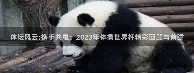 欧亿体育官方正版app官网：体坛风云:携手共赢：20