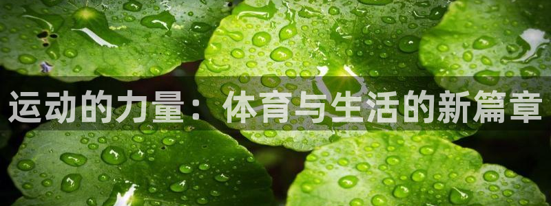 海南oety欧亿体育官网下载：运动的力量：体育与生活