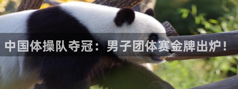oety欧亿体育官网下载平台是正规平台吗知乎：中国体