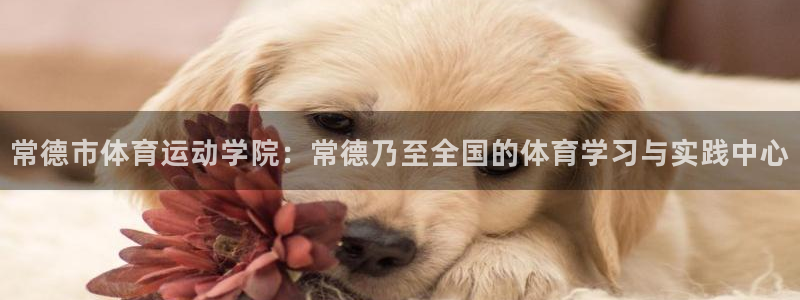 oety欧亿体育官网下载娱乐：常德市体育运动学院：常