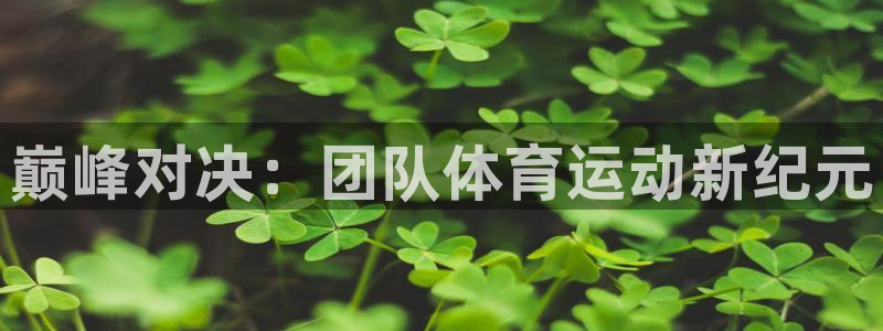 欧亿体育官方正版app新能源：巅峰对决：团队体育运动新纪元