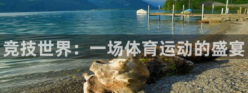 oety欧亿体育官网下载平台注册流程图：竞技世界：一