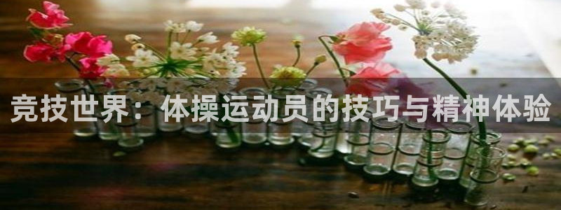 欧亿体育官方集团官网：竞技世界：体操运动员的技巧与精
