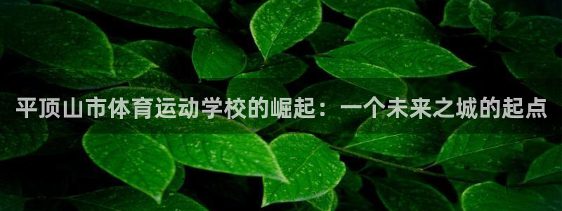 oety欧亿体育官网下载是干嘛的公司