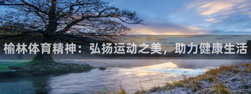 德国欧亿体育官方正版app集团：榆林体育精神：弘扬运动之美，