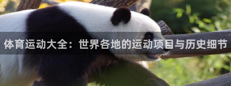 oety欧亿体育官网下载招商电话号码是多少啊：体育运动大全：